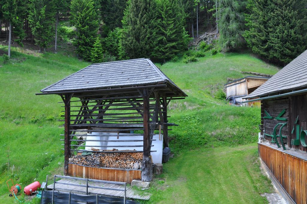 Apartamento Almen-Kraeuter-Oberreiter Dellach im Drautal Exterior foto