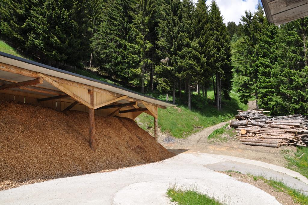 Apartamento Almen-Kraeuter-Oberreiter Dellach im Drautal Exterior foto