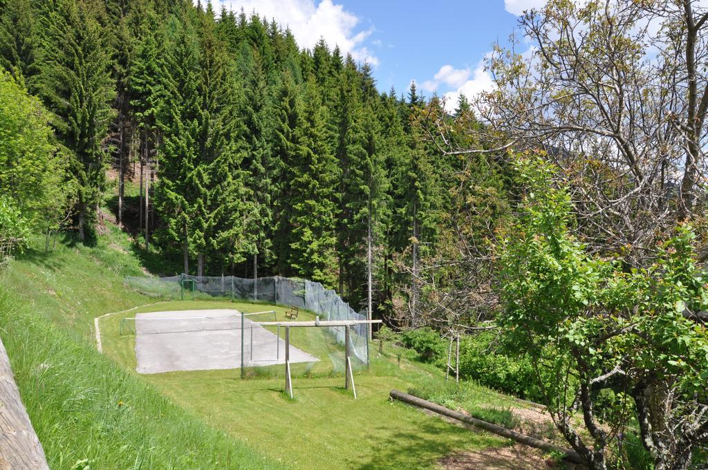 Apartamento Almen-Kraeuter-Oberreiter Dellach im Drautal Exterior foto